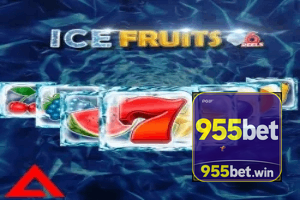 955BET ajuda online — chat de suporte no aplicativo oficial