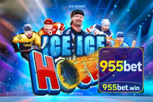 955BET feedback — categorias de sugestão e melhoria no app