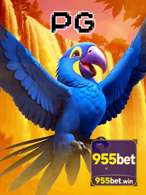 955BET bônus — cashback 15 por cento e níveis VIP