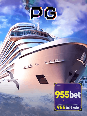 955BET termos — contrato de uso e regulamento da plataforma