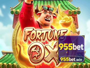 955BET login — painel de entrada no app oficial