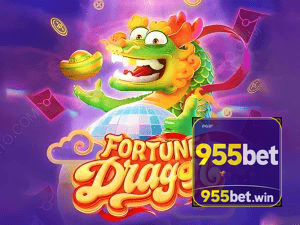 955BET download — arquivo APK para Android oficial